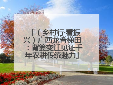 （乡村行·看振兴）广西龙脊梯田：背篓变迁见证千年农耕传统魅力