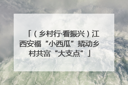 （乡村行·看振兴）江西安福“小西瓜”撬动乡村共富“大支点”