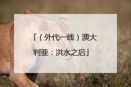 （外代一线）澳大利亚：洪水之后