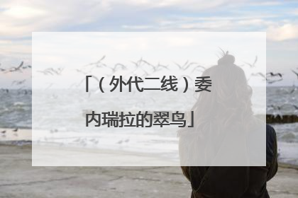 （外代二线）委内瑞拉的翠鸟