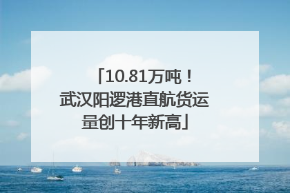 10.81万吨！武汉阳逻港直航货运量创十年新高