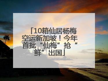 10箱仙居杨梅空运新加坡！今年首批“仙梅”抢“鲜”出国