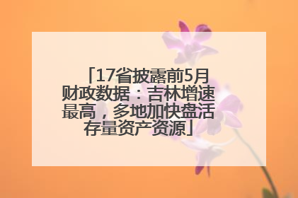 17省披露前5月财政数据：吉林增速最高，多地加快盘活存量资产资源