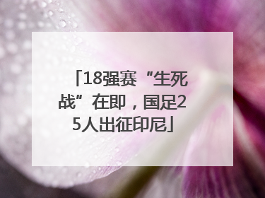 18强赛“生死战”在即，国足25人出征印尼