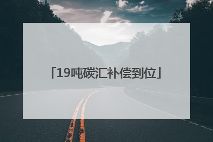 19吨碳汇补偿到位