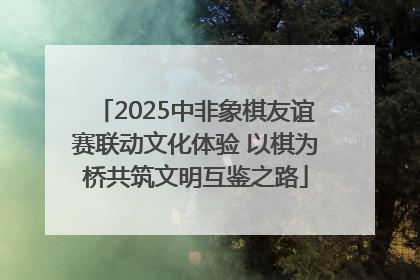 2025中非象棋友谊赛联动文化体验 以棋为桥共筑文明互鉴之路
