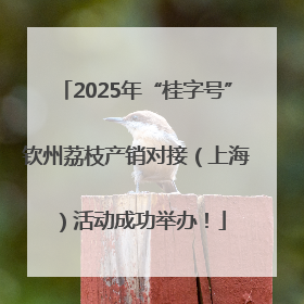 2025年“桂字号”钦州荔枝产销对接（上海）活动成功举办！