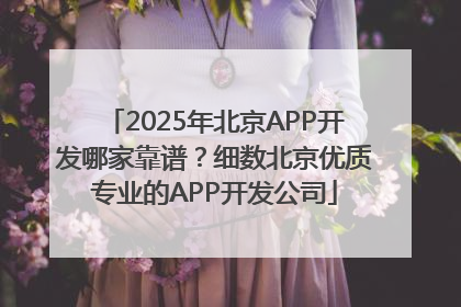 2025年北京APP开发哪家靠谱？细数北京优质专业的APP开发公司