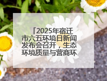 2025年宿迁市六五环境日新闻发布会召开，生态环境质量与营商环境双优化