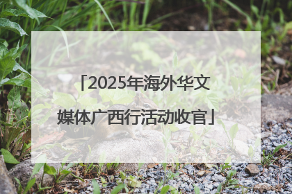 2025年海外华文媒体广西行活动收官