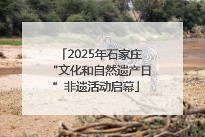 2025年石家庄“文化和自然遗产日”非遗活动启幕