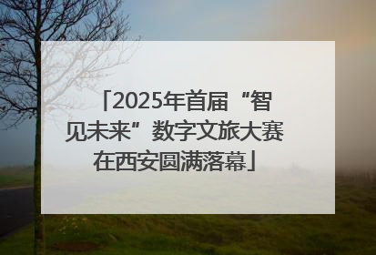 2025年首届“智见未来”数字文旅大赛在西安圆满落幕
