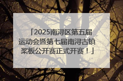 2025南浔区第五届运动会暨第七届南浔古镇桨板公开赛正式开赛！