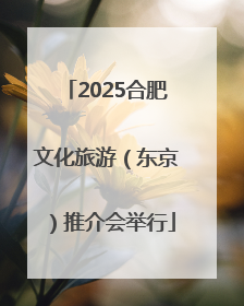 2025合肥文化旅游（东京）推介会举行