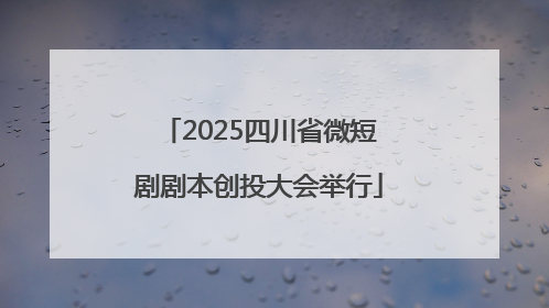 2025四川省微短剧剧本创投大会举行