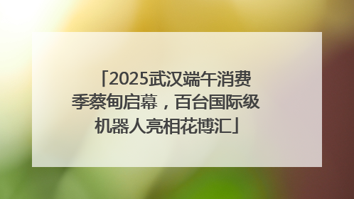 2025武汉端午消费季蔡甸启幕，百台国际级机器人亮相花博汇
