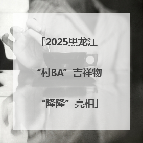 2025黑龙江“村BA”吉祥物“隆隆”亮相