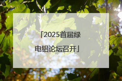 2025首届绿电铝论坛召开