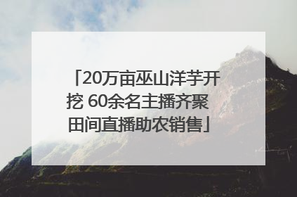 20万亩巫山洋芋开挖 60余名主播齐聚田间直播助农销售