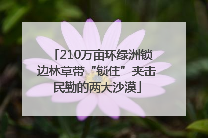 210万亩环绿洲锁边林草带“锁住”夹击民勤的两大沙漠