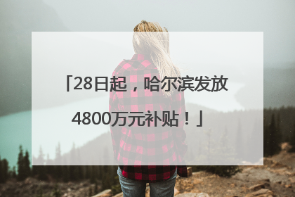 28日起，哈尔滨发放4800万元补贴！