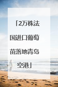 2万株法国进口葡萄苗落地青岛空港