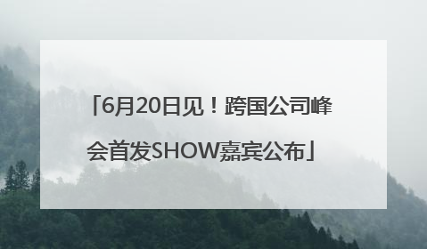 6月20日见！跨国公司峰会首发SHOW嘉宾公布