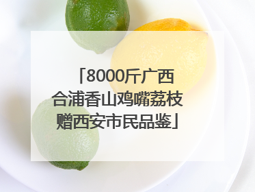 8000斤广西合浦香山鸡嘴荔枝赠西安市民品鉴
