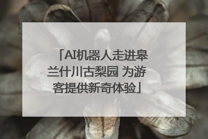 AI机器人走进皋兰什川古梨园 为游客提供新奇体验