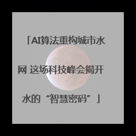 AI算法重构城市水网 这场科技峰会揭开水的“智慧密码”