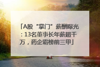 A股“掌门”薪酬曝光：13名董事长年薪超千万，药企霸榜前三甲