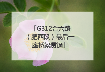 G312合六路（肥西段）最后一座桥梁贯通