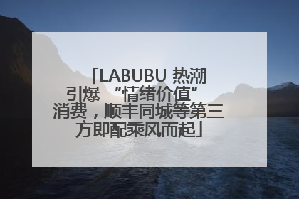 LABUBU 热潮引爆 “情绪价值” 消费，顺丰同城等第三方即配乘风而起