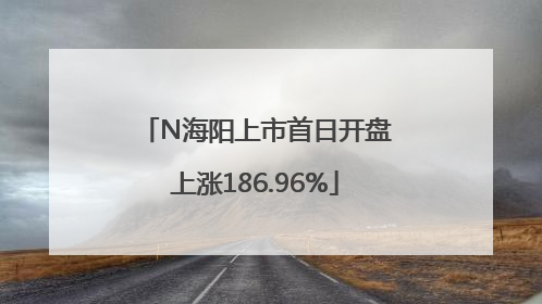 N海阳上市首日开盘上涨186.96%