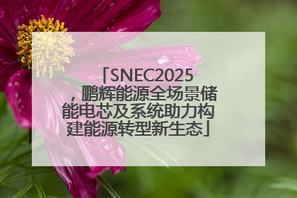 SNEC2025，鹏辉能源全场景储能电芯及系统助力构建能源转型新生态
