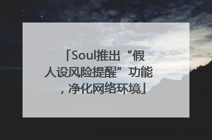 Soul推出“假人设风险提醒”功能，净化网络环境
