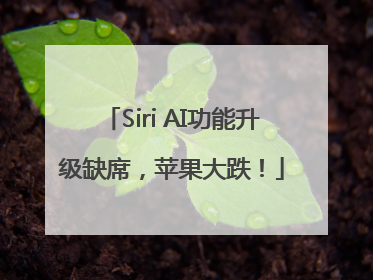 Siri AI功能升级缺席，苹果大跌！